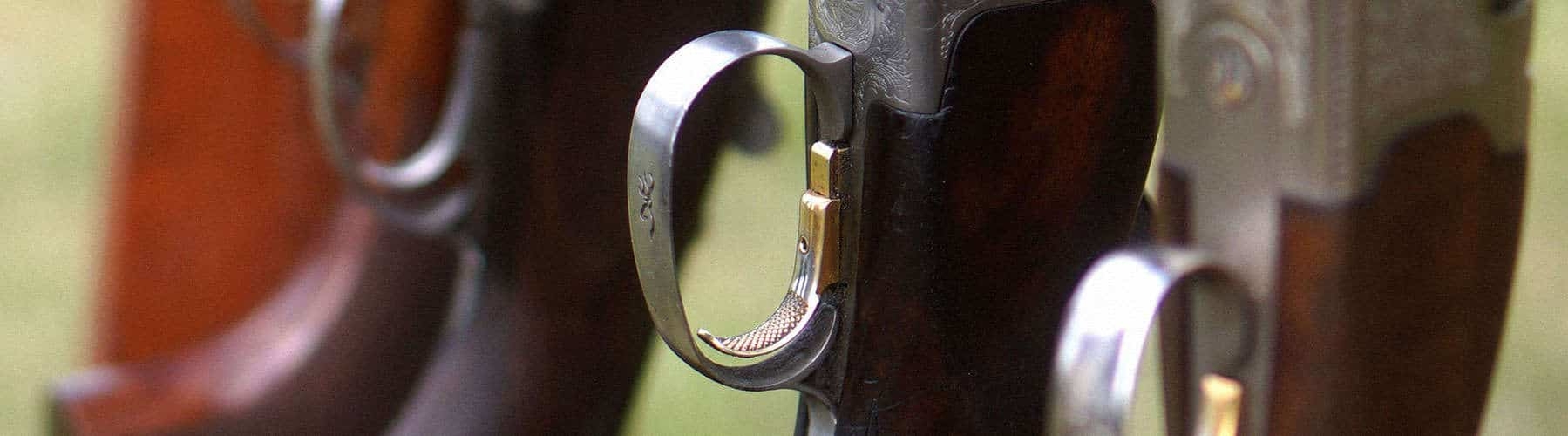 Inheriting Firearms, Canadian Firearms Licensing Inheriting Firearms, Canadian Firearms Licensing